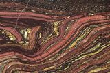 Polished Tiger Iron Stromatolite Slab - Billion Years #239643-1